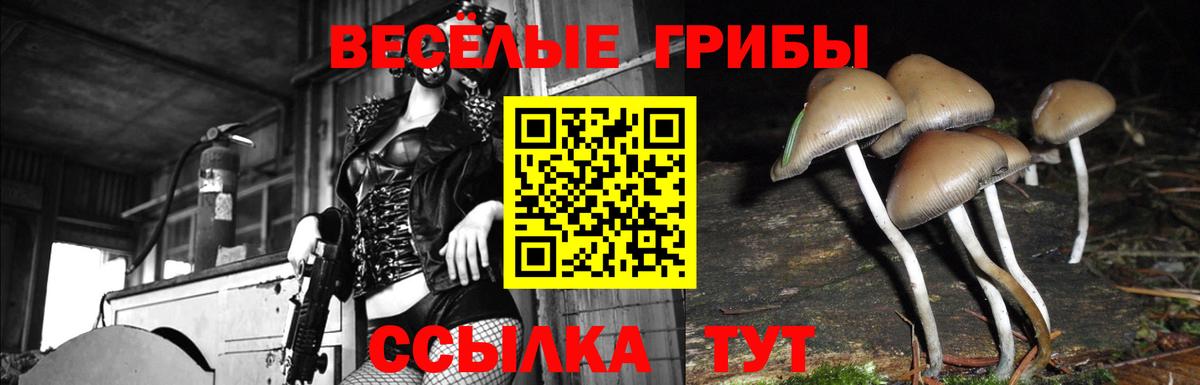 купить закладку  Галлюциногенные грибы мухоморы  Вход с VPN  Псилоцибиновые грибы мухоморы  Кыштым 